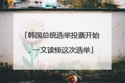 韩国总统选举投票开始，一文读懂这次选举