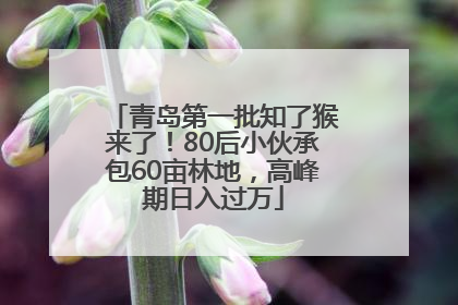 青岛第一批知了猴来了！80后小伙承包60亩林地，高峰期日入过万