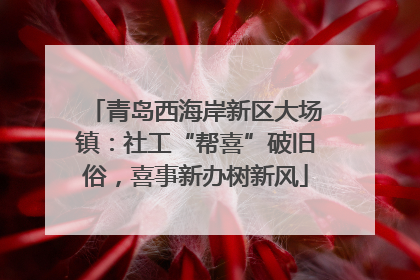 青岛西海岸新区大场镇：社工“帮喜”破旧俗，喜事新办树新风