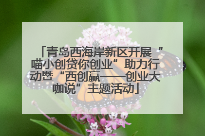 青岛西海岸新区开展“喵小创贷你创业”助力行动暨“西创赢——创业大咖说”主题活动