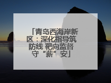 青岛西海岸新区：深化指导筑防线 靶向监督守“薪”安