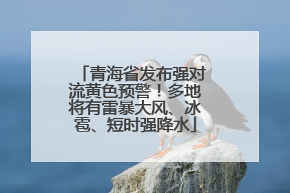 青海省发布强对流黄色预警！多地将有雷暴大风、冰雹、短时强降水