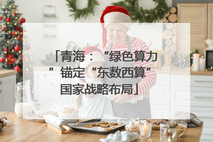 青海：“绿色算力”锚定“东数西算”国家战略布局