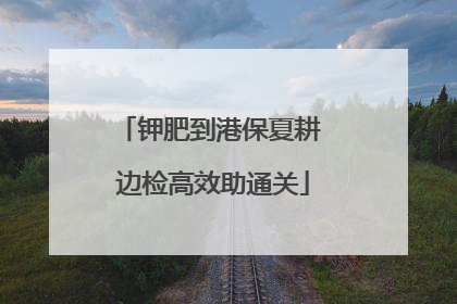 钾肥到港保夏耕 边检高效助通关