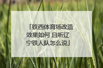 铁西体育场改造效果如何 且听辽宁铁人队怎么说