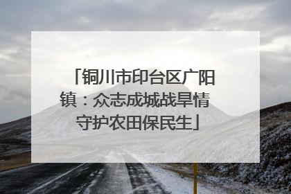 铜川市印台区广阳镇：众志成城战旱情 守护农田保民生