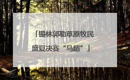 锡林郭勒草原牧民盛夏决赛“马超”