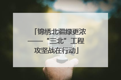 锦绣北疆绿更浓——“三北”工程攻坚战在行动