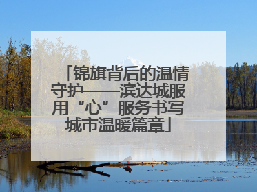 锦旗背后的温情守护——滨达城服用“心”服务书写城市温暖篇章