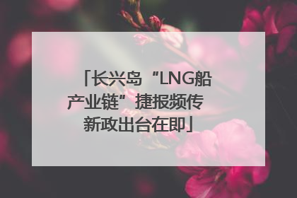 长兴岛“LNG船产业链”捷报频传 新政出台在即