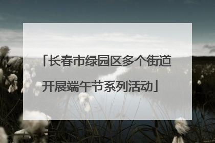 长春市绿园区多个街道开展端午节系列活动
