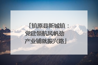 镇原县新城镇：党建领航风帆劲 产业铺就振兴路