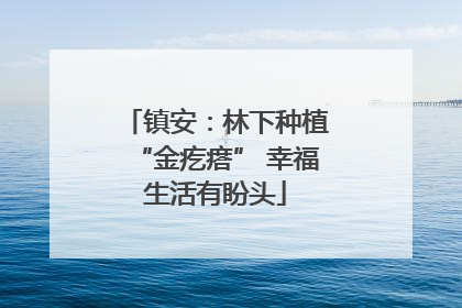 镇安：林下种植“金疙瘩” 幸福生活有盼头