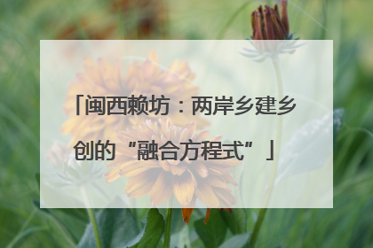 闽西赖坊：两岸乡建乡创的“融合方程式”