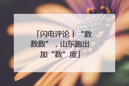 闪电评论丨“数数数”，山东跑出加“数”度