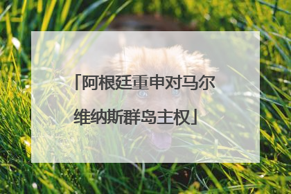 阿根廷重申对马尔维纳斯群岛主权