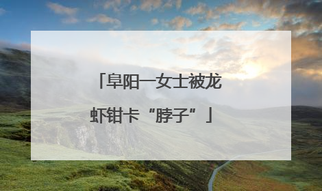 阜阳一女士被龙虾钳卡“脖子”