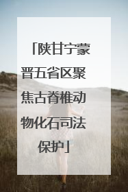 陕甘宁蒙晋五省区聚焦古脊椎动物化石司法保护
