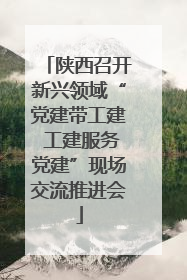 陕西召开新兴领域“党建带工建 工建服务党建”现场交流推进会
