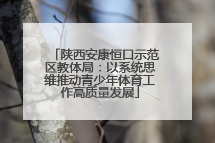 陕西安康恒口示范区教体局：以系统思维推动青少年体育工作高质量发展