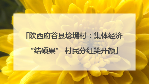 陕西府谷县埝墕村：集体经济“结硕果” 村民分红笑开颜