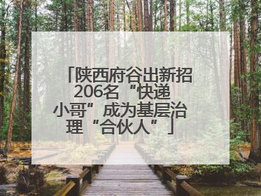 陕西府谷出新招 206名“快递小哥”成为基层治理“合伙人”