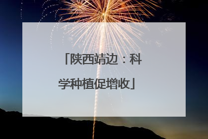 陕西靖边：科学种植促增收