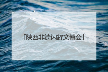 陕西非遗闪耀文博会