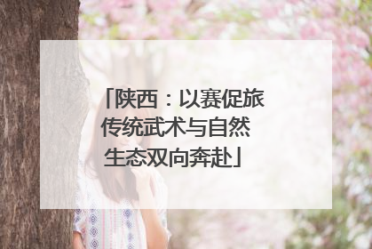 陕西：以赛促旅 传统武术与自然生态双向奔赴