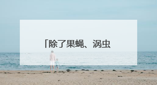 除了果蝇、涡虫 中国空间站还有哪些“动物航天员”