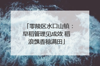 零陵区水口山镇：早稻管理见成效 稻浪飘香穗满田