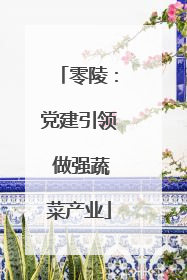 零陵：党建引领 做强蔬菜产业