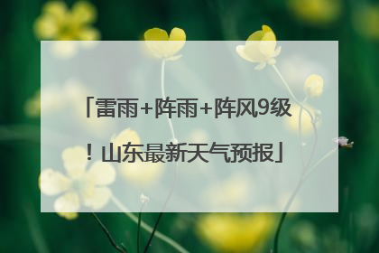 雷雨+阵雨+阵风9级！山东最新天气预报