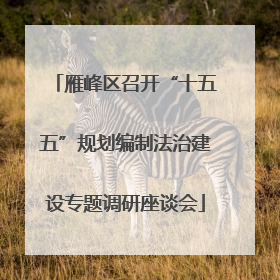 雁峰区召开“十五五”规划编制法治建设专题调研座谈会