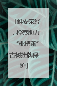 雅安荥经：检察助力“枇杷茶”古树挂牌保护