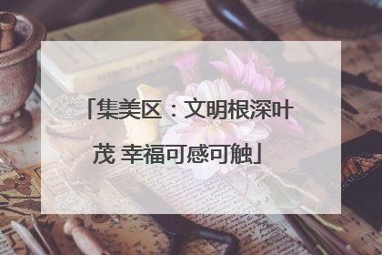 集美区：文明根深叶茂 幸福可感可触