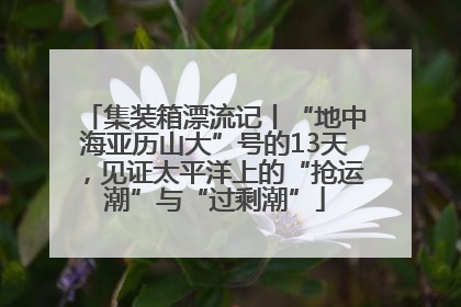 集装箱漂流记丨“地中海亚历山大”号的13天，见证太平洋上的“抢运潮”与“过剩潮”