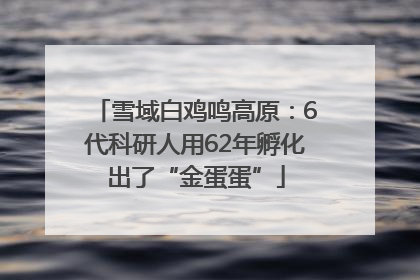 雪域白鸡鸣高原：6代科研人用62年孵化出了“金蛋蛋”