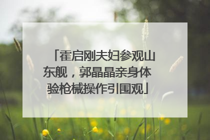霍启刚夫妇参观山东舰，郭晶晶亲身体验枪械操作引围观