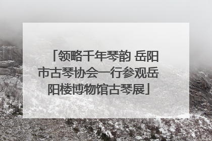 领略千年琴韵 岳阳市古琴协会一行参观岳阳楼博物馆古琴展