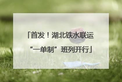 首发！湖北铁水联运“一单制”班列开行