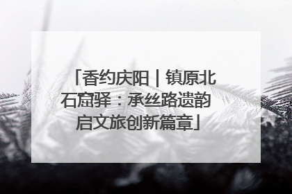 香约庆阳｜镇原北石窟驿：承丝路遗韵 启文旅创新篇章