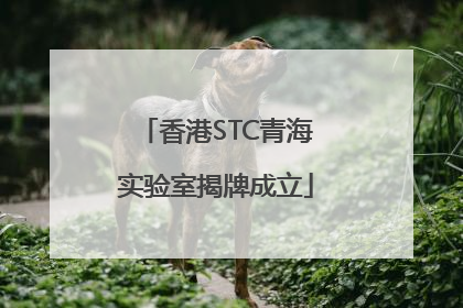 香港STC青海实验室揭牌成立