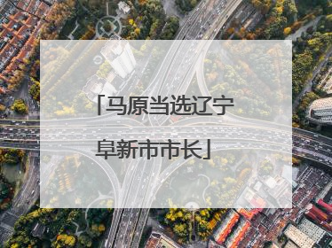 马原当选辽宁阜新市市长