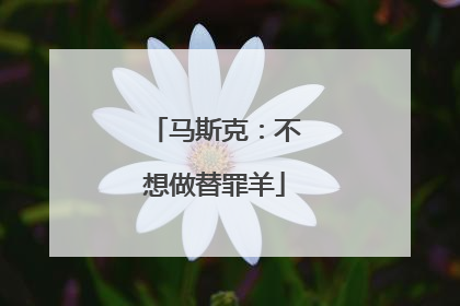 马斯克：不想做替罪羊