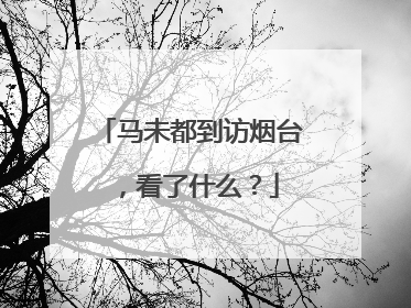 马未都到访烟台，看了什么？