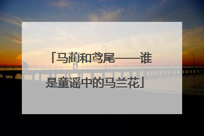 马蔺和鸢尾——谁是童谣中的马兰花