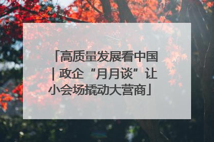 高质量发展看中国｜政企“月月谈”让小会场撬动大营商