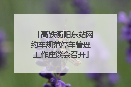 高铁衡阳东站网约车规范停车管理工作座谈会召开