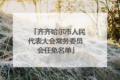 齐齐哈尔市人民代表大会常务委员会任免名单